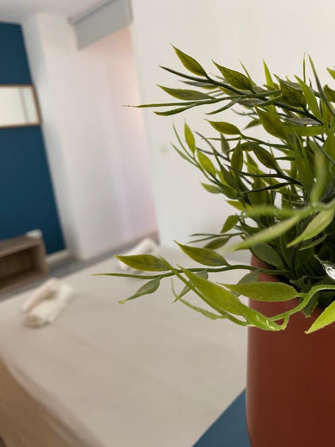 Acogedor Apartamento Valensiya Dış mekan fotoğraf
